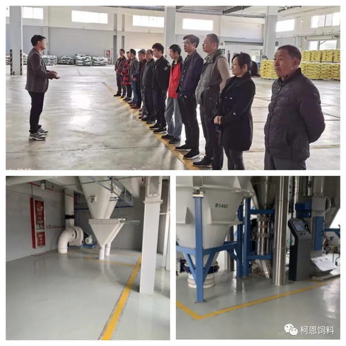 規(guī)模養(yǎng)殖服務(wù)商之清潔工廠(chǎng)：柯百微在行動(dòng)